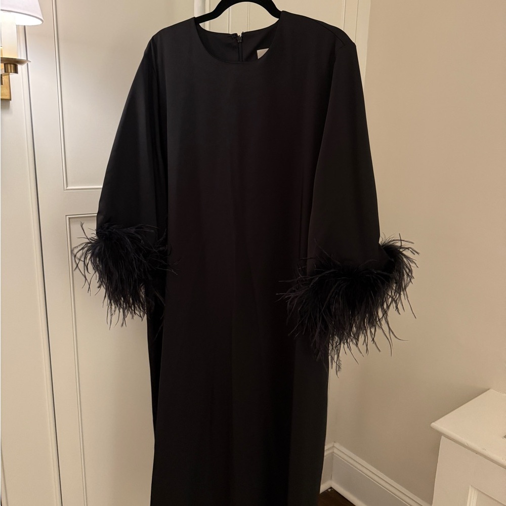 Tuckernuck Black Dress with Feather Trim - Picture 2 of 5